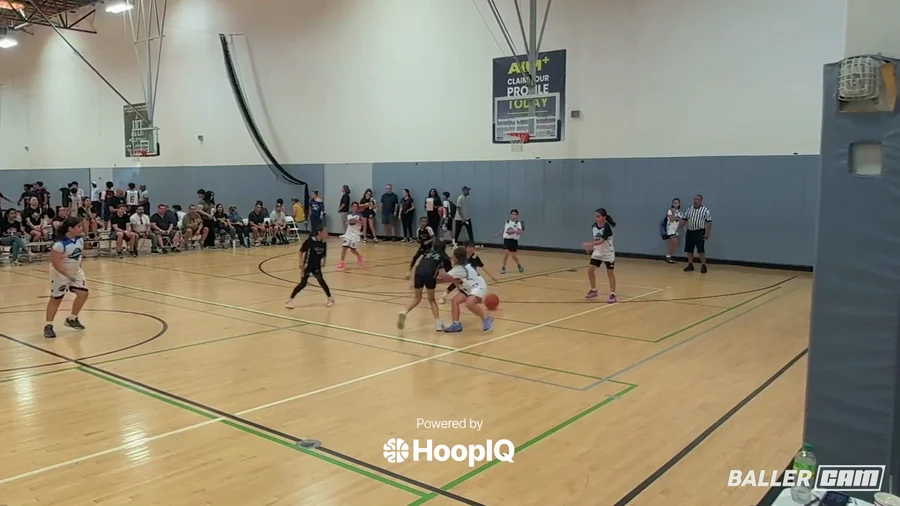 Steal