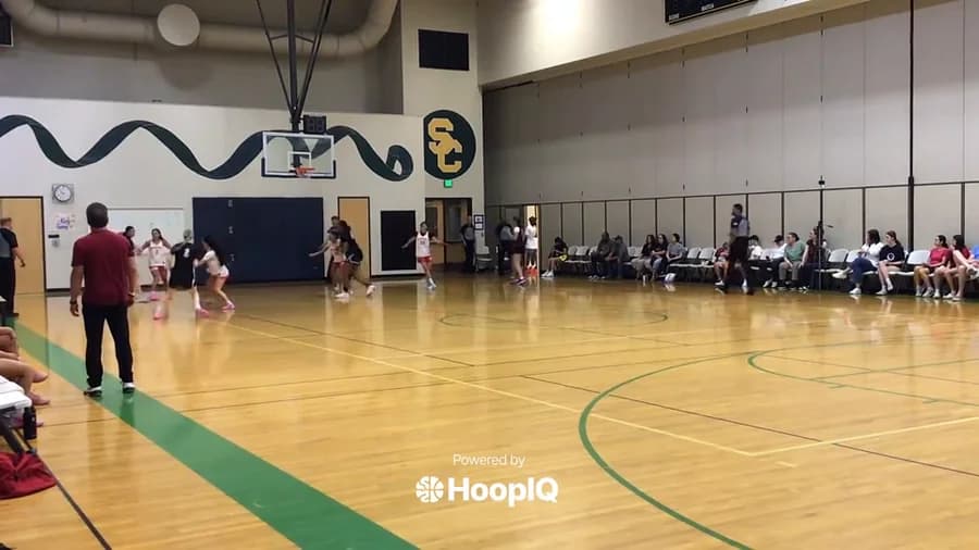 Steal