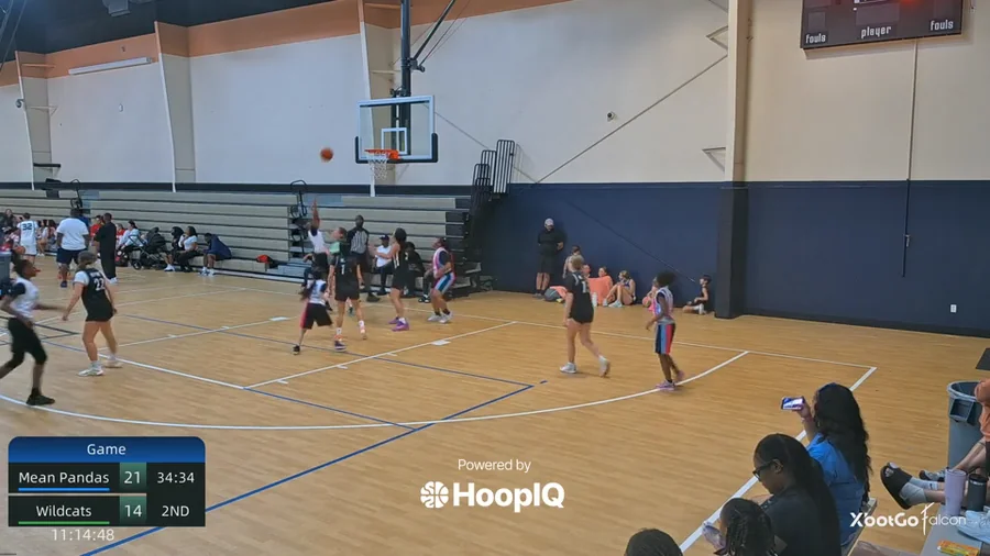 2-pt Shot